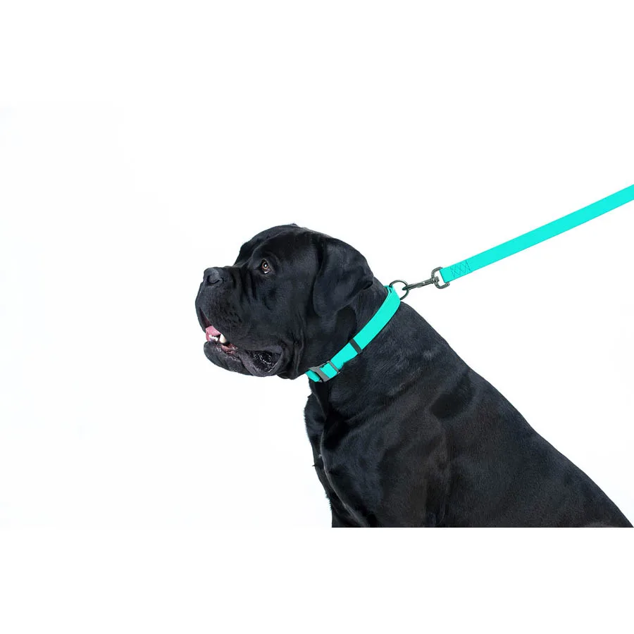Повідець WAUDOG Waterproof 20х183 см Collartex М светонакоплювальний металевий