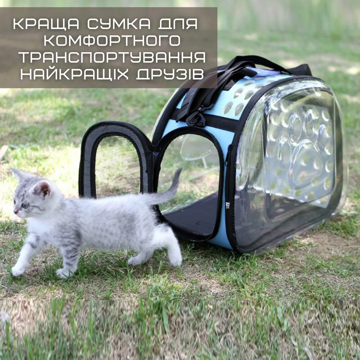 Сумка переноска для кота складная прозрачные стенки ABS EVA 44x32x28 см голубая
