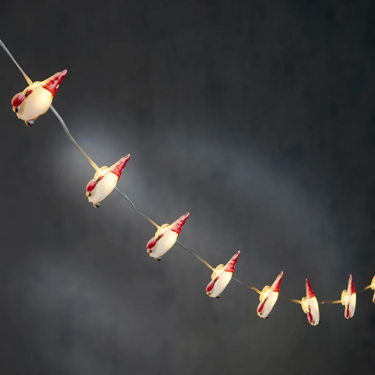 Гірлянда-струна Luca Lighting 1,3 м 10 LED теплий білий