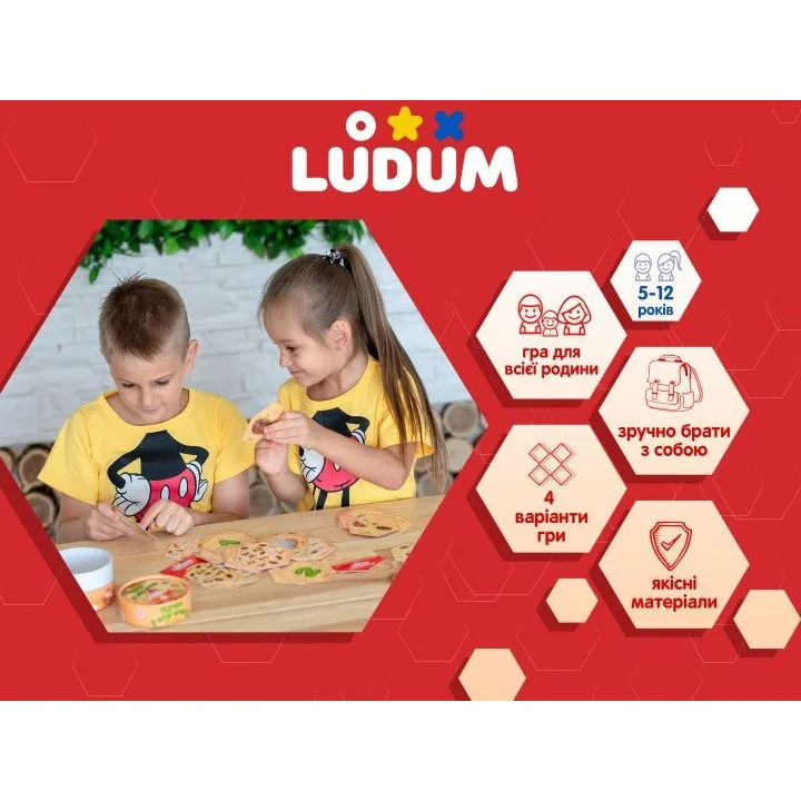 Настільна гра Ludum картон 11 см х 7 см Багатокольорова