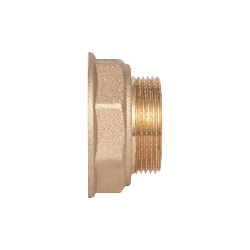 Перехідник редукційний 2"x1 1/2" латунний Thermo Alliance Standart