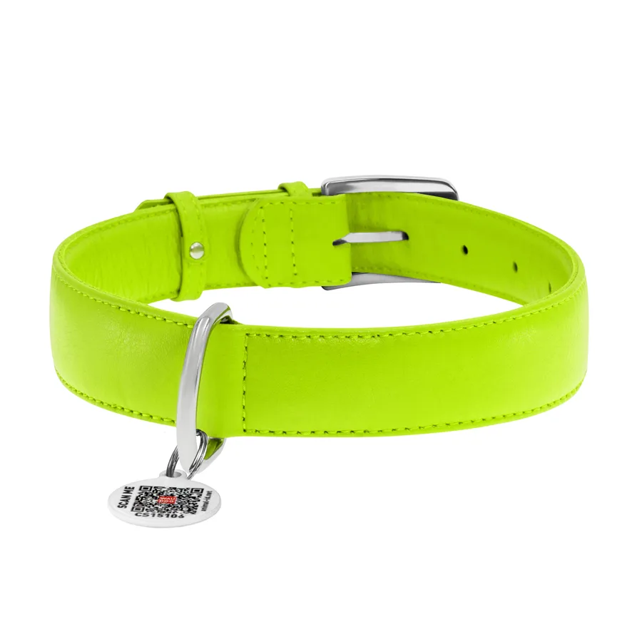 Нашийник WAUDOG Glamour шкіряний XL 35 мм 46-60 см салатовий з QR паспортом