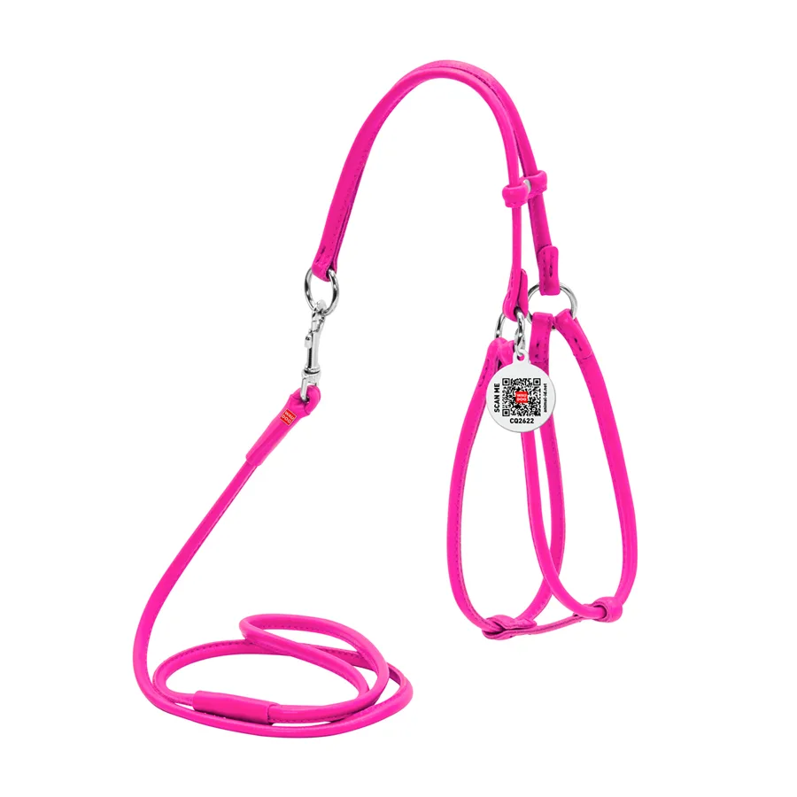 Шлея з повідцем WAUDOG Glamour 90х6 мм шкіряна рожевий обхват шиї 42-60 см