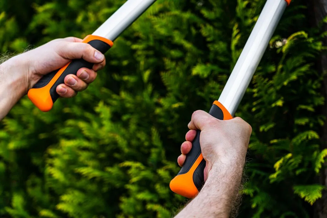 Контактний сучкоріз Neo Tools, діаметр різу 42 мм, телескопічний (670-970 мм), вага 1375 г.