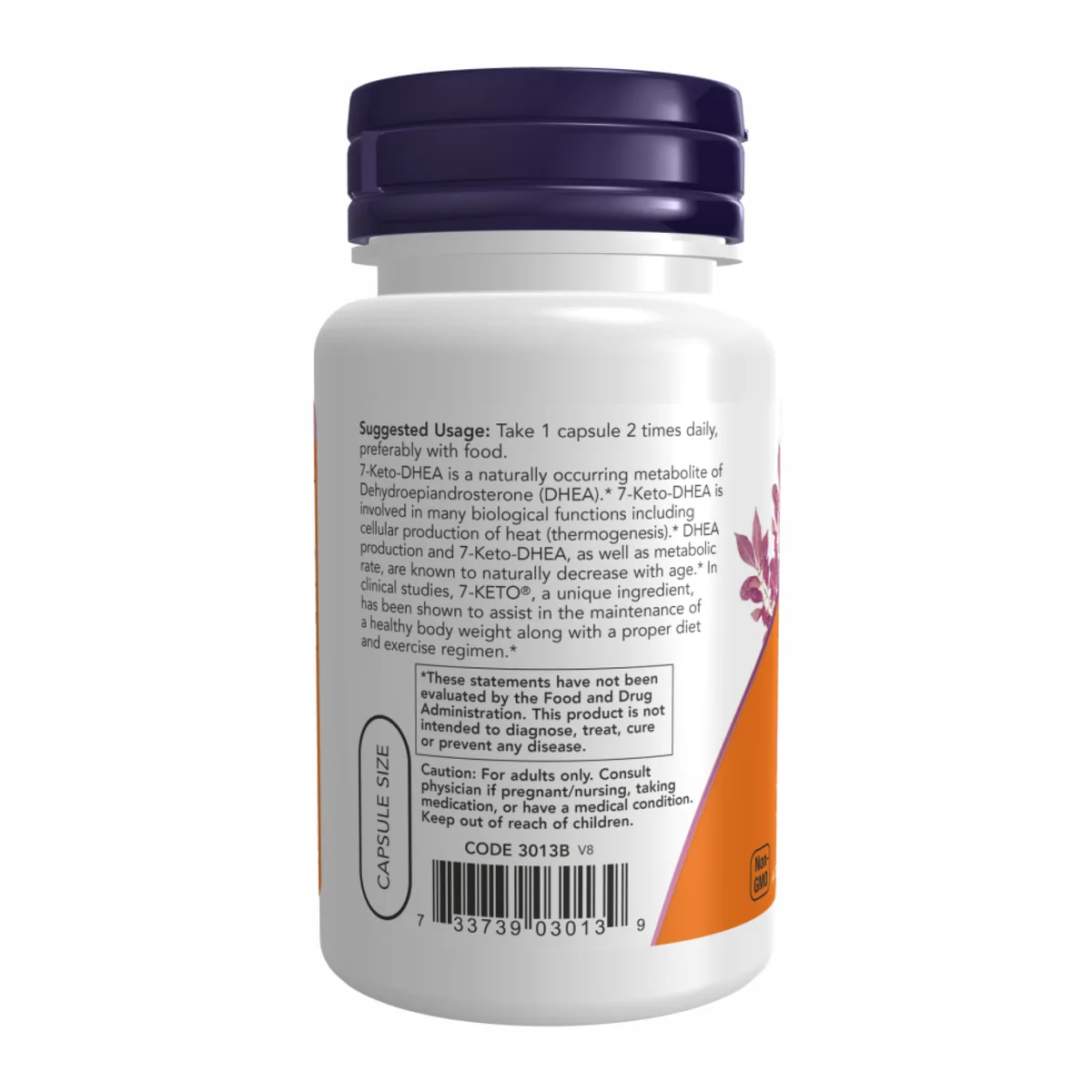7-Кето ДГЭА 100 мг 60 капсул Now Foods