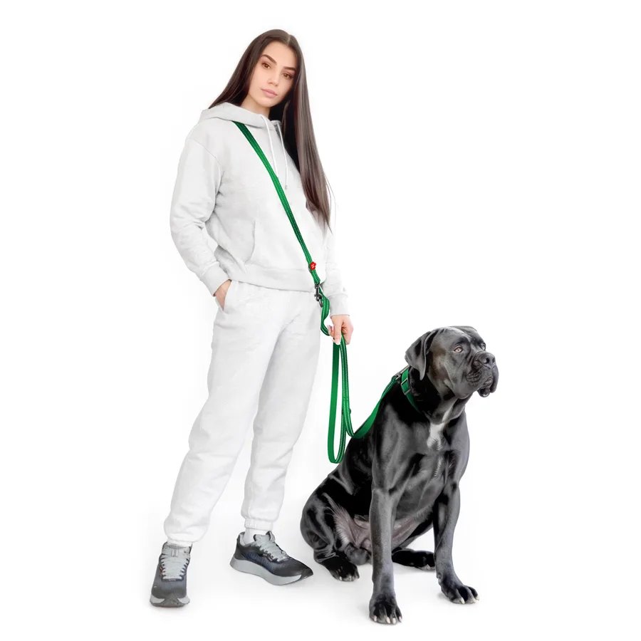 Повідець-перестібка WAUDOG Nylon Mono 20 мм x 300 см світловідбивний зелений нейлон M