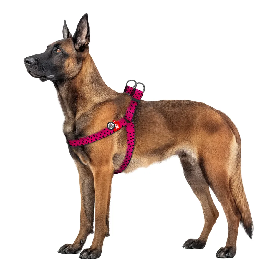 Шлейка WAUDOG Nylon XL 35 мм Нейлон 70-100 см Арбуз