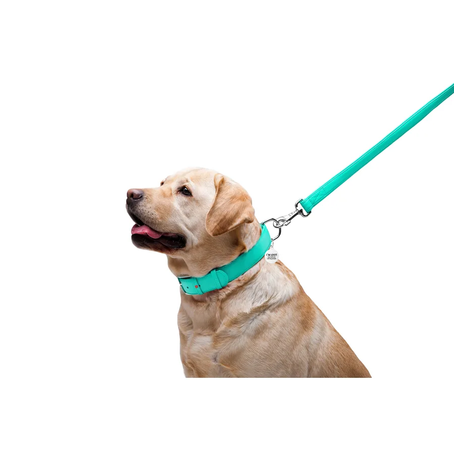 Повідець WAUDOG Glamour шкіряний 25 мм x 122 см L-XXL ментоловий