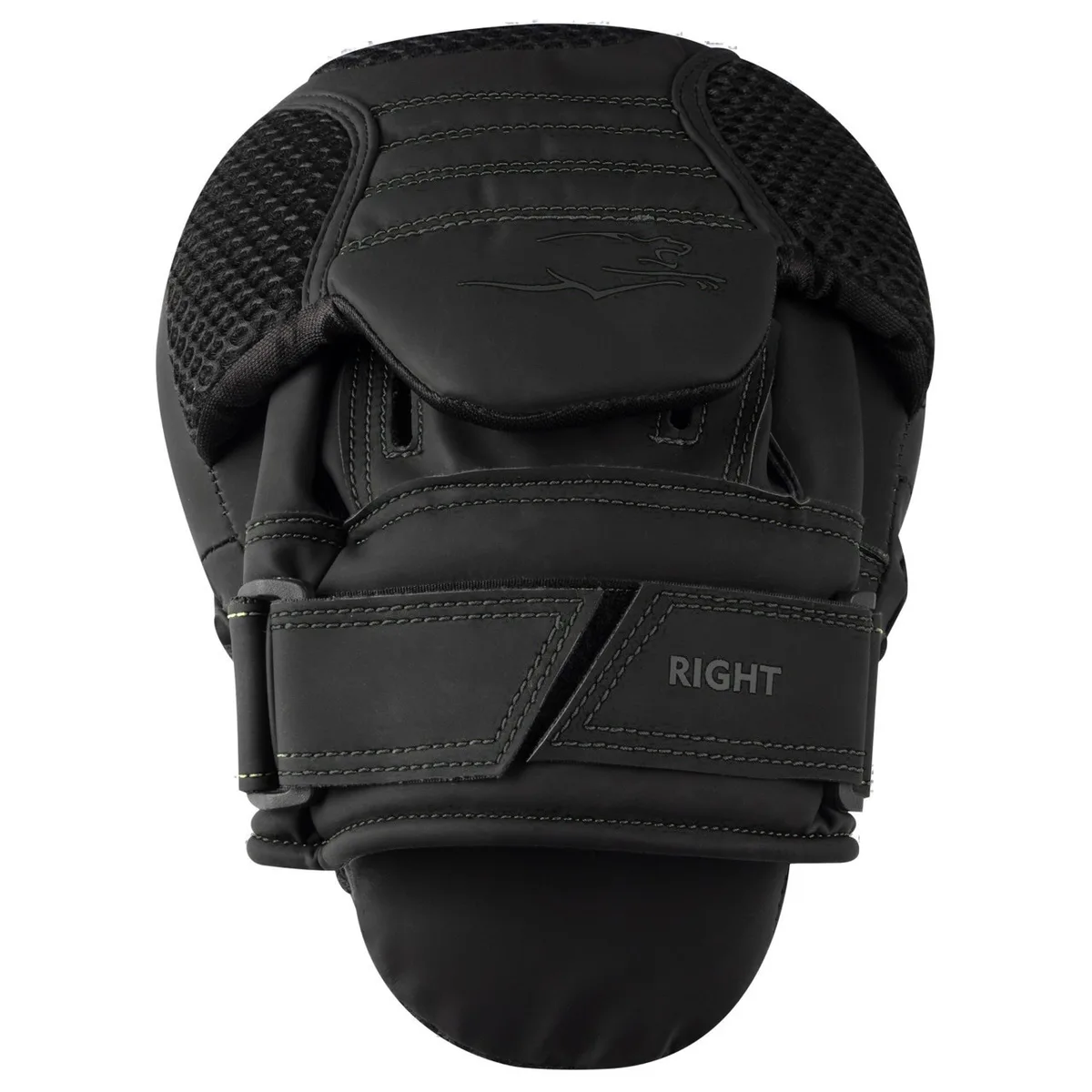 Лапи боксерські Active Point PU 22х19 см Чорні