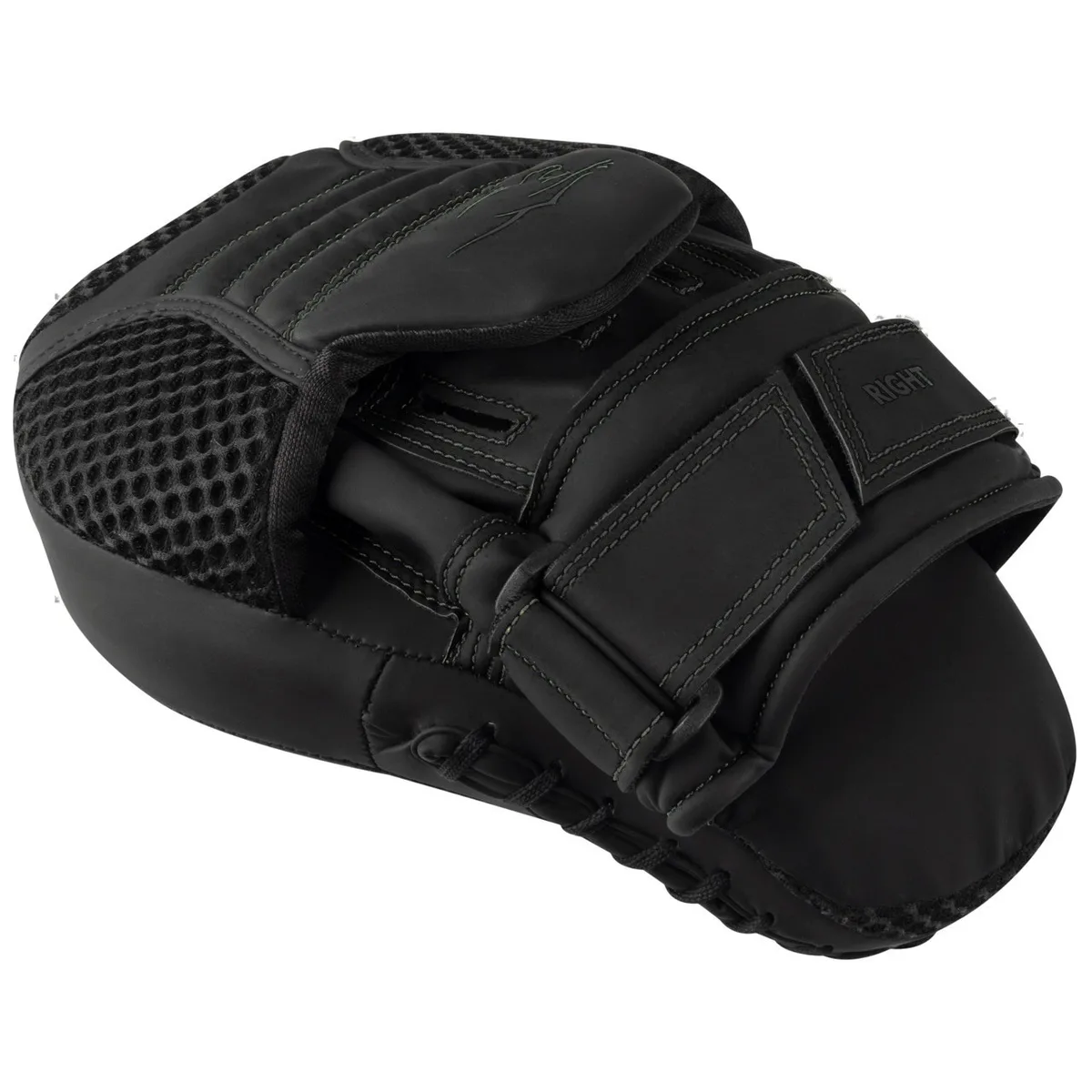 Лапи боксерські Active Point PU 22х19 см Чорні