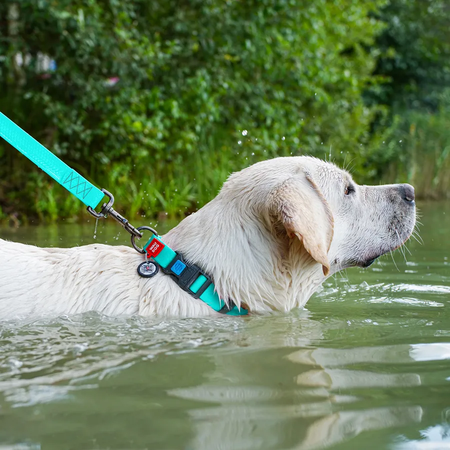 Нашийник WAUDOG Waterproof 25 мм водостійкий Collartex 38-58 см світловідбивний