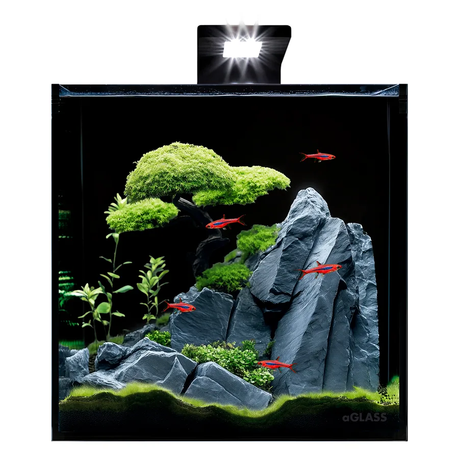 Акваріумний набір 30 л AquaLighter BlackCube 31х31х31 см скло чорний