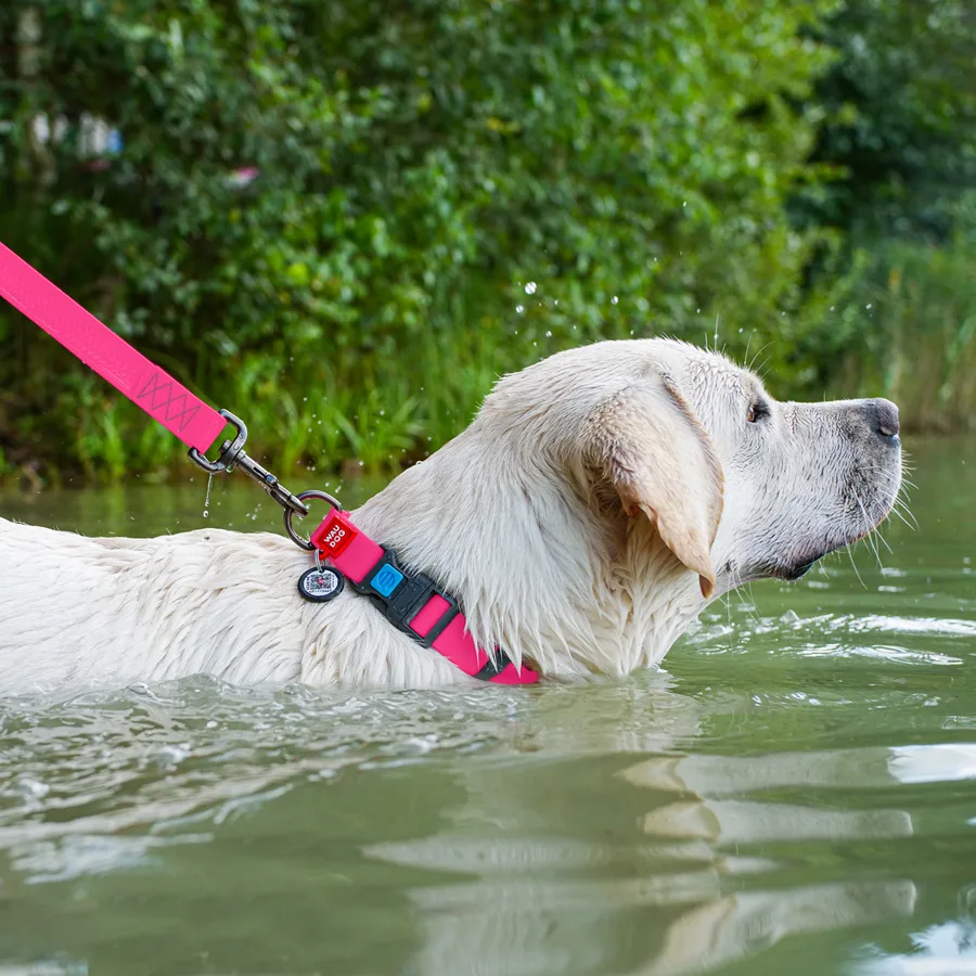Нашийник WAUDOG Waterproof 25 мм Collartex регульований 38-58 см рожевий