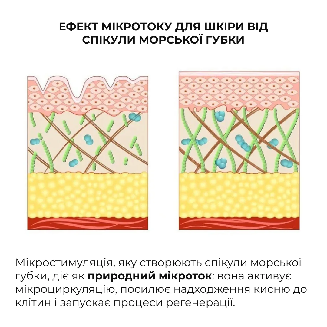 Набір інтенсивного догляду проти зморшок і почервоніння Hillary Intensive Anti-Wrinkle & Redness Care Kit