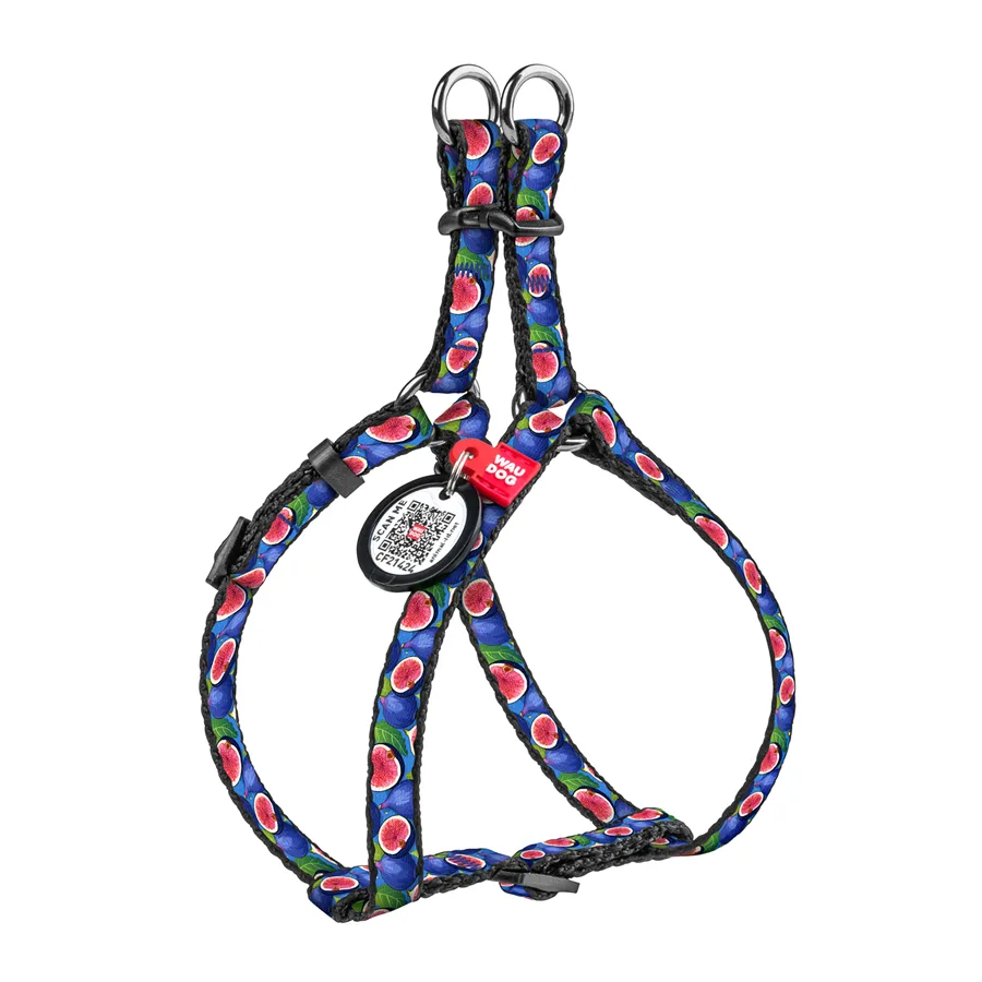 Шлея WAUDOG Nylon XS 10 мм обхват 30-40 см нейлон малюнок Інжир