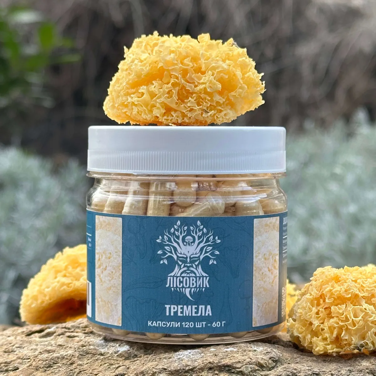 Тремела (Tremella fuciformis), капсули по 120 шт 0.5 г