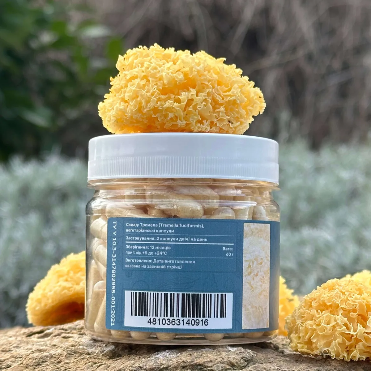 Тремела (Tremella fuciformis), капсули по 120 шт 0.5 г