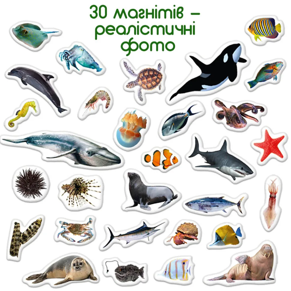 Дитячий набір магнітів Magdum ПВХ 10х10 см Мультяшні морські мешканці
