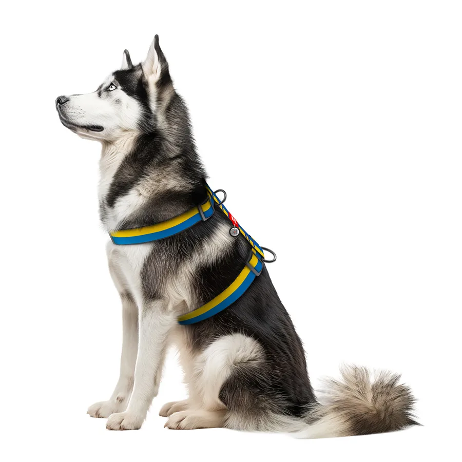 Шлея анатомічна WAUDOG Nylon H-подібна 35 мм 55-95 см 70-110 см Colors of freedom