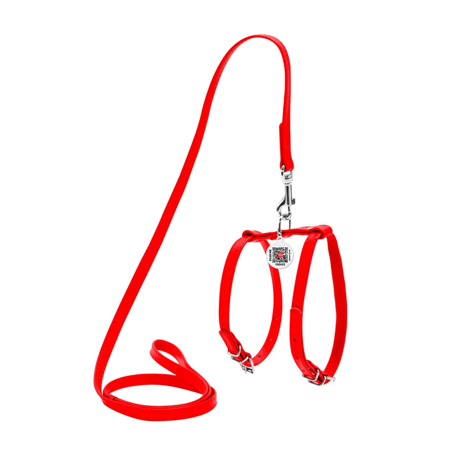 Шлея з повідцем WAUDOG Glamour 12 мм шкіряна XS 25-33 см червона