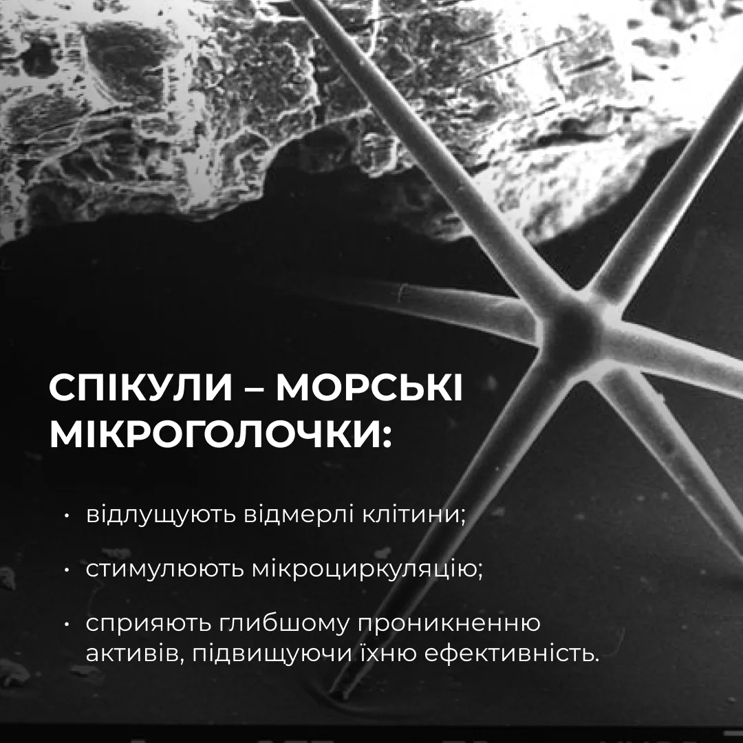 Комплекс для лифтинга и восстановления упругости кожи лица и шеи Hillary Face & Neck Firming & Lifting Compl