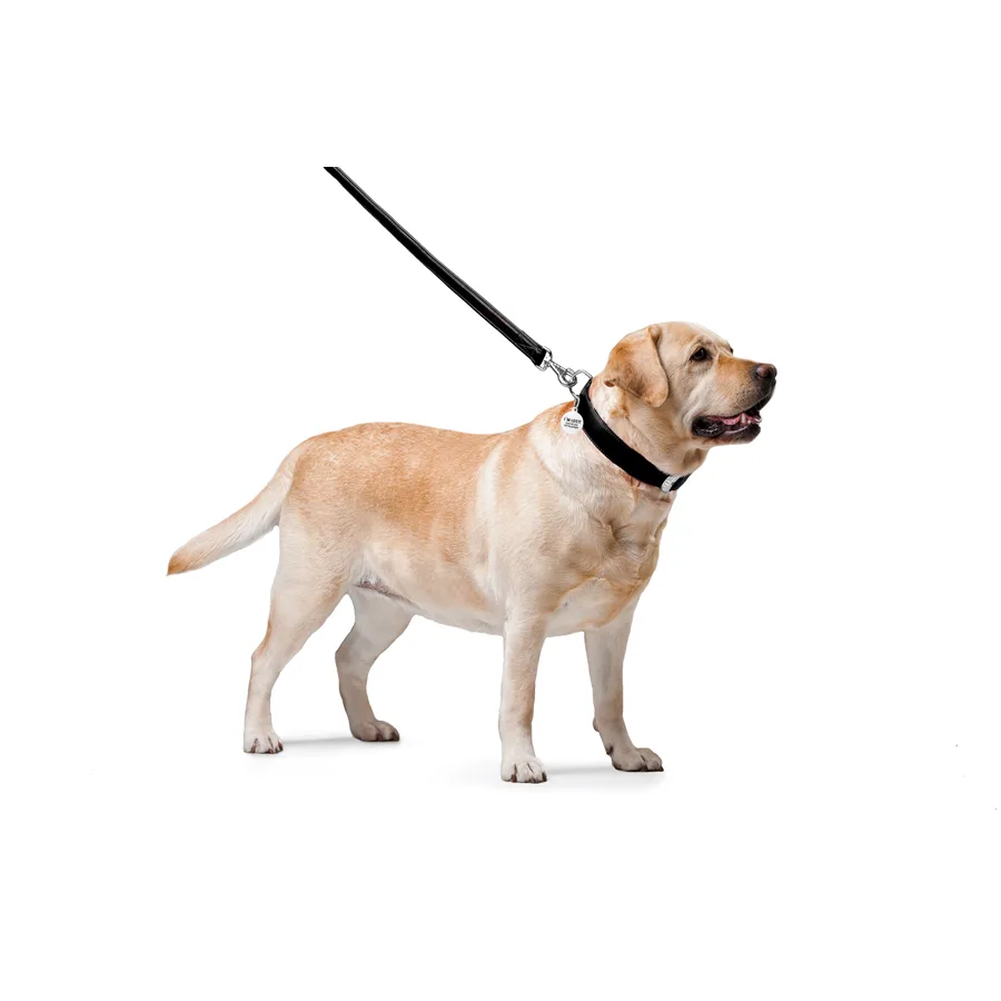 Поводок WAUDOG Glamour кожаный 25х122 см черный для собак L-XXL