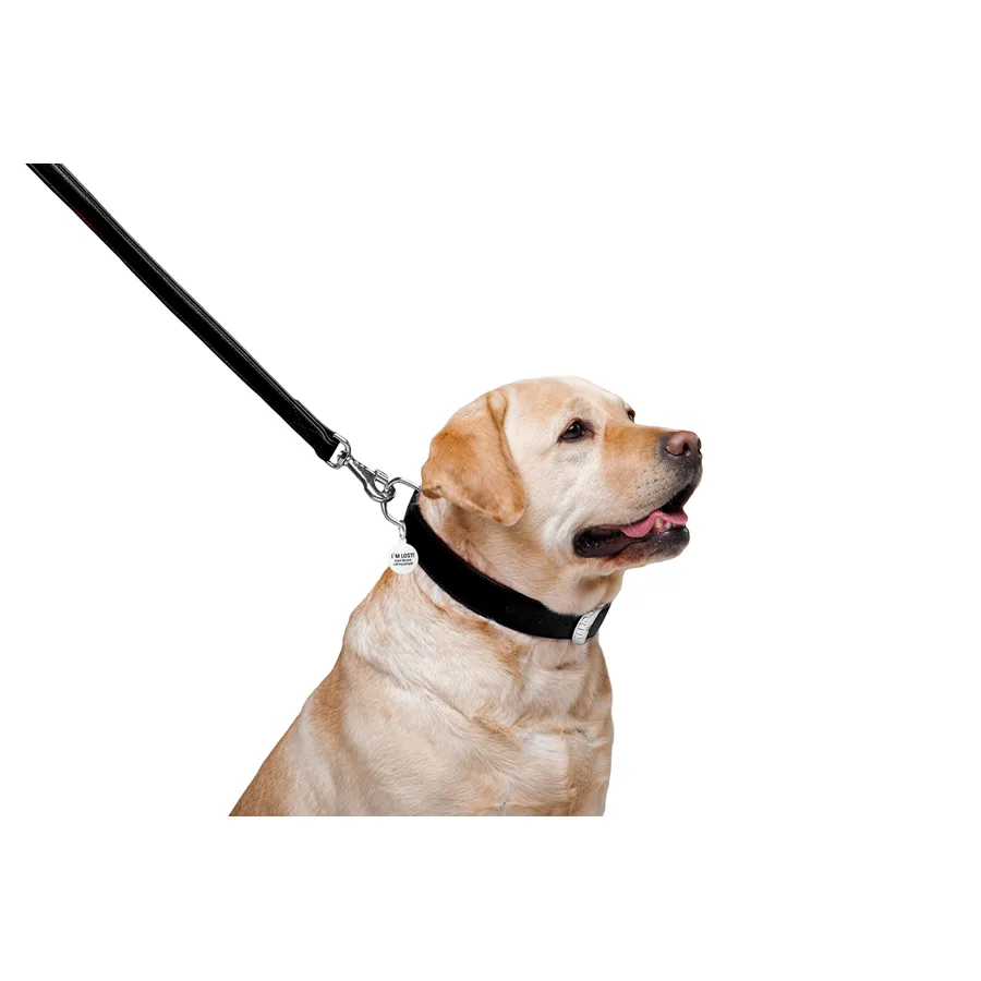 Поводок WAUDOG Glamour кожаный 25х122 см черный для собак L-XXL