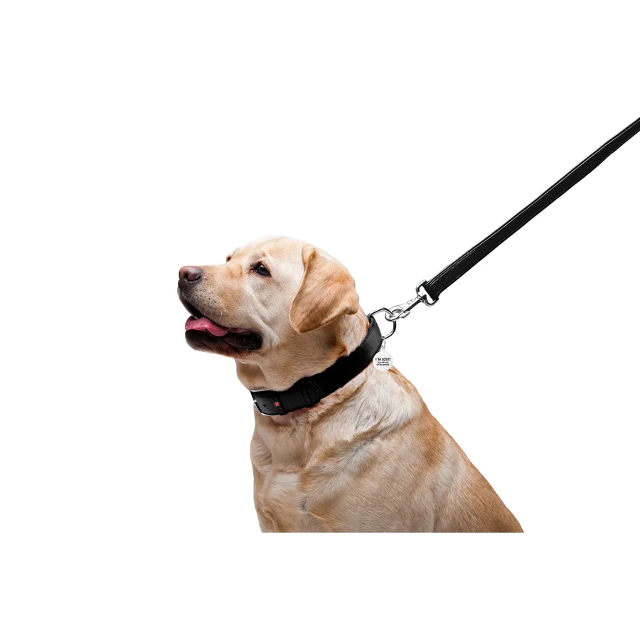 Поводок WAUDOG Glamour кожаный 25х122 см черный для собак L-XXL
