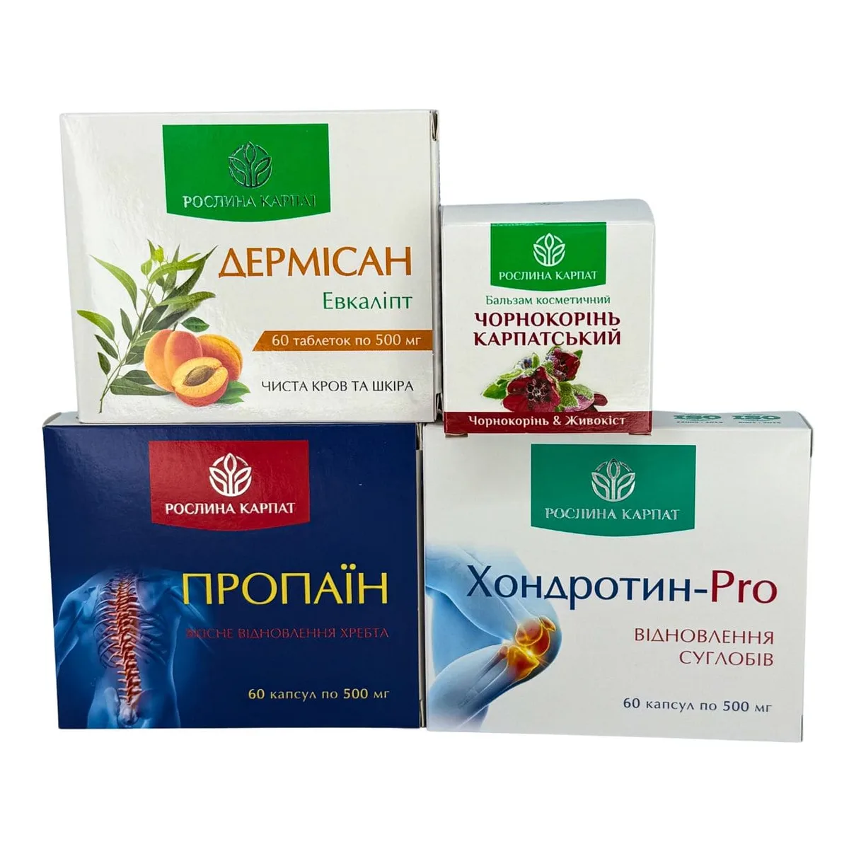 Програма Здорові суглоби – Дермісан, Чорнокорінь, Пропаїн, Хондротин Рослина Карпат