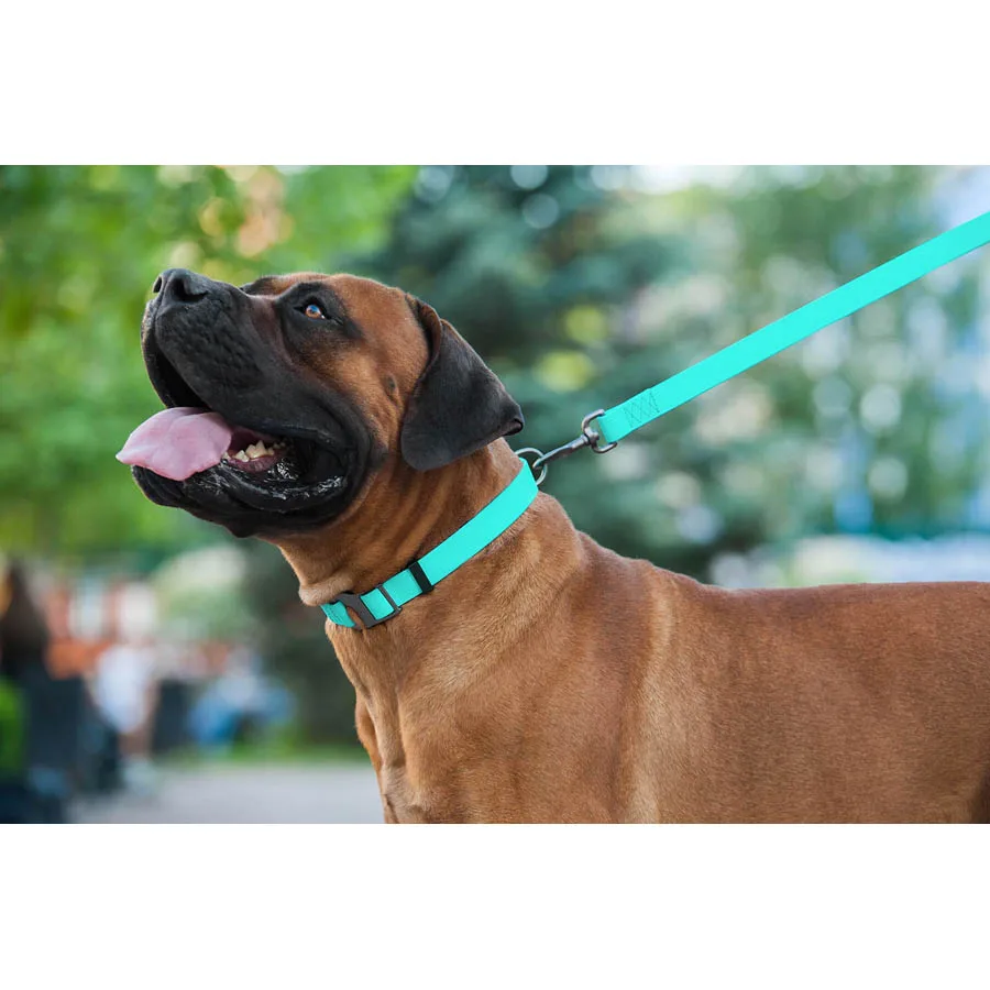 Повідець WAUDOG Waterproof 15x122 см Collartex S водостійкий світонакоплювальний