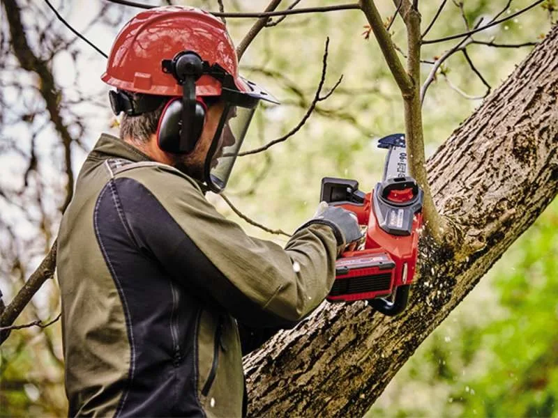 Акумуляторна ланцюгова пила Einhell Professional FORTEXXA 18/20 TH 18В PXC, 20 см, 2.54 кг, без батареї та зарядного пристрою.