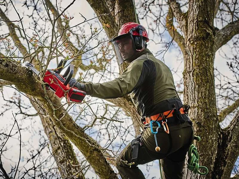 Акумуляторна ланцюгова пила Einhell Professional FORTEXXA 18/20 TH 18В PXC, 20 см, 2.54 кг, без батареї та зарядного пристрою.