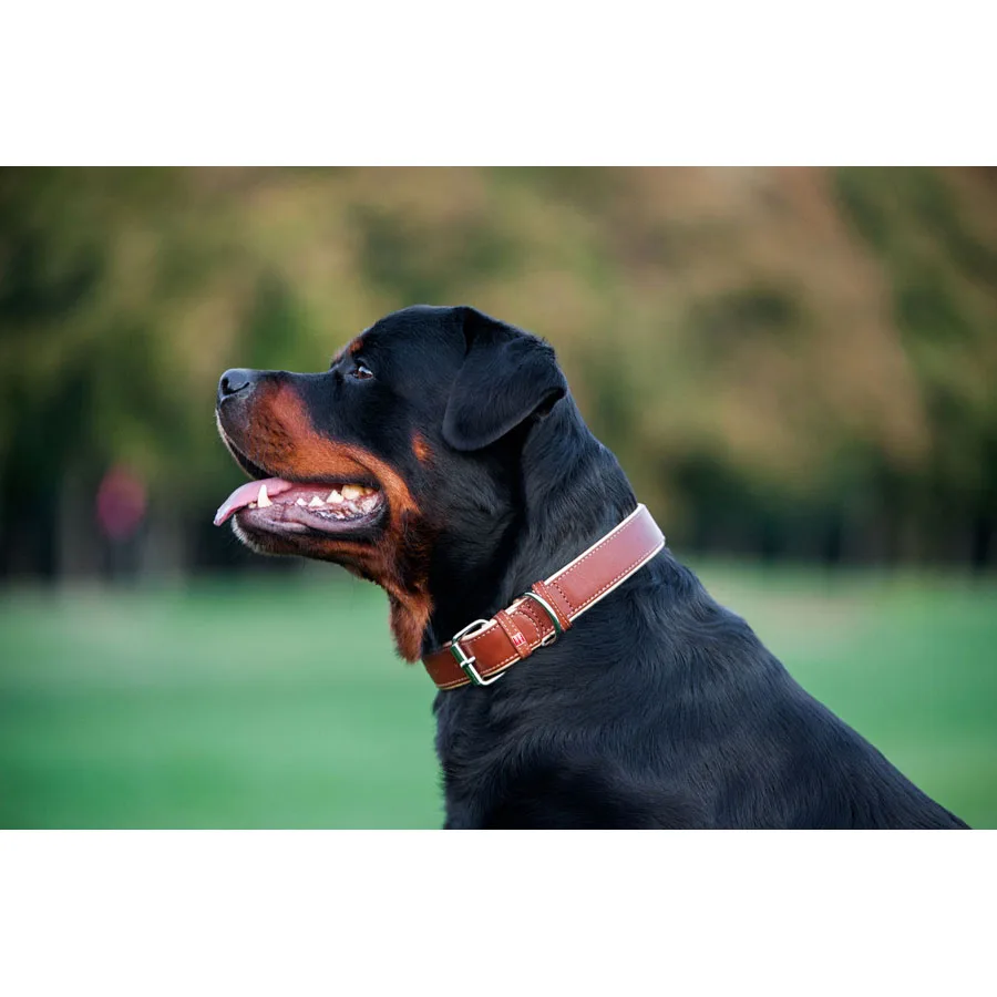 Нашийник WAUDOG Soft шкіряний 25 мм 38-49 см коричневий