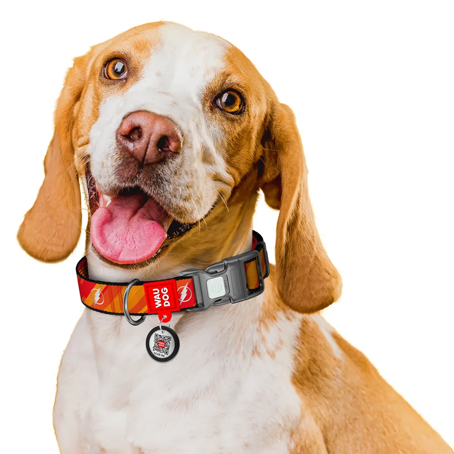 Нашийник WAUDOG Nylon L 33-49 см 25 мм Нейлон Світловідбивний Флеш Лого