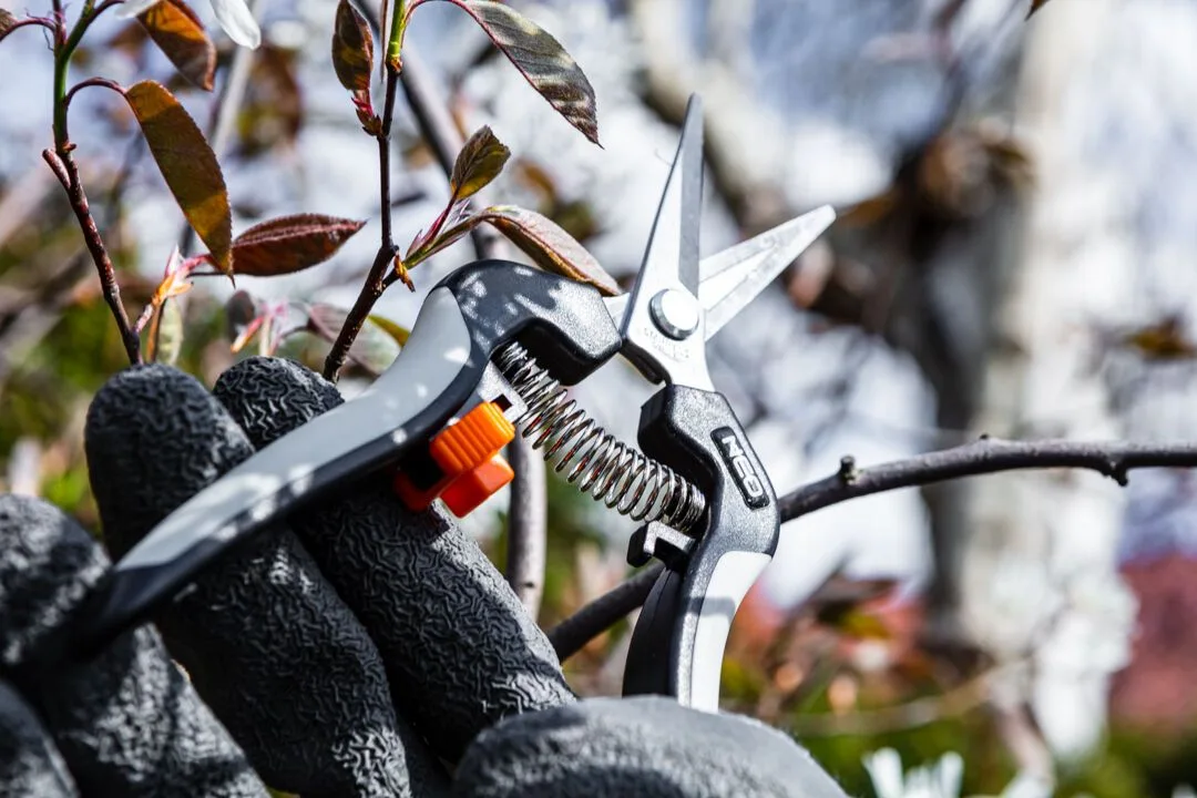Секатор плоский Neo Tools, діаметр різу 18 мм, довжина 200 мм, вага 120 г.