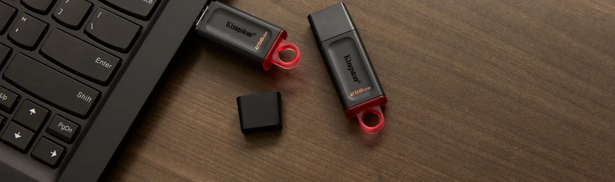 Накопичувач Kingston  256GB USB 3.2 Type-A Gen1 DT Exodia