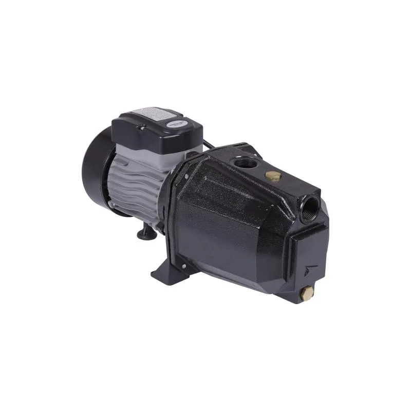 Самовсмоктувальний насос відцентровий Thermo Alliance D-JETm-100M 0,75 кВт чавун 415х180х210 мм