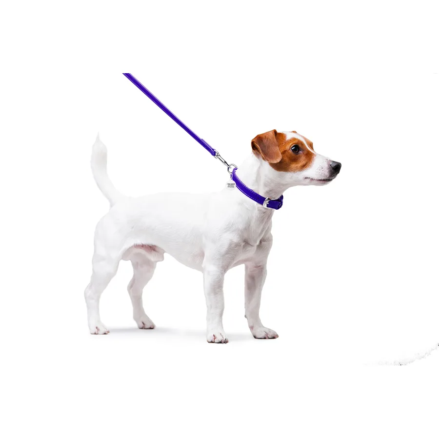 Поводок WAUDOG Glamour кожаный 12х122 см фиолетовый XS-S