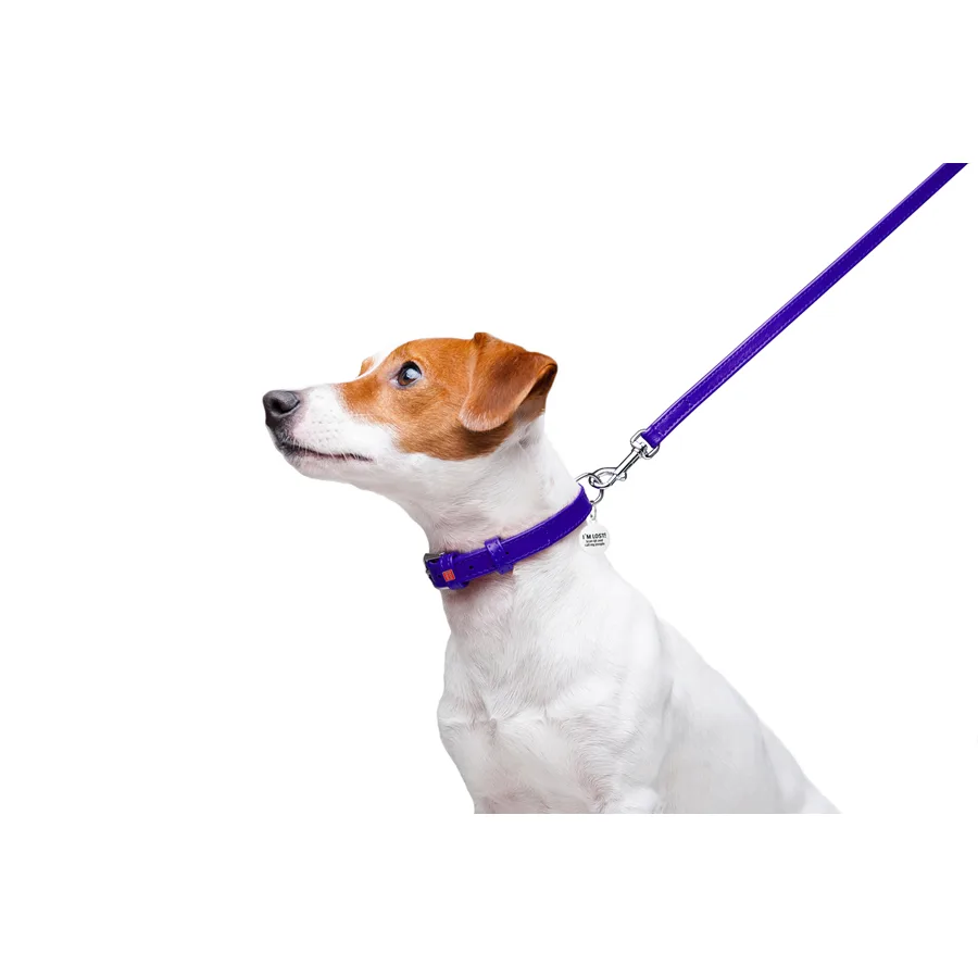 Поводок WAUDOG Glamour кожаный 12х122 см фиолетовый XS-S