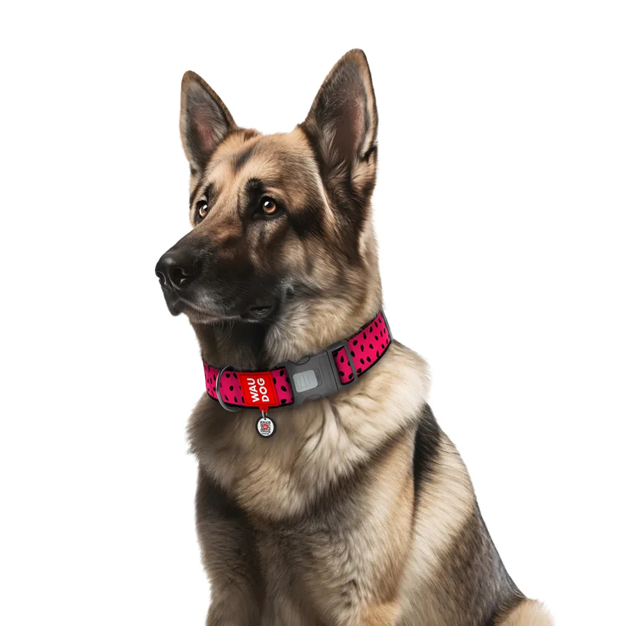 Нашийник WAUDOG Nylon XXL 46-70 см нейлоновый Арбуз 35 мм