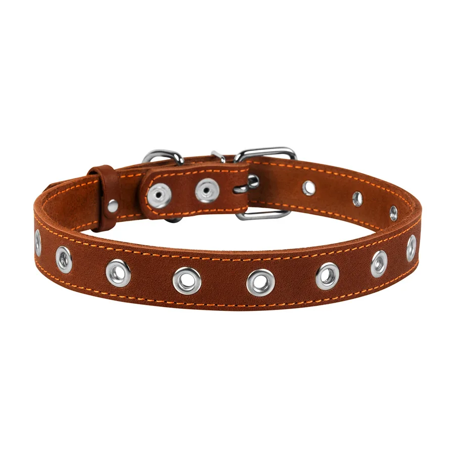 Нашийник CoLLaR 60x2,5 см шкіряний коричневий для собак середнього розміру