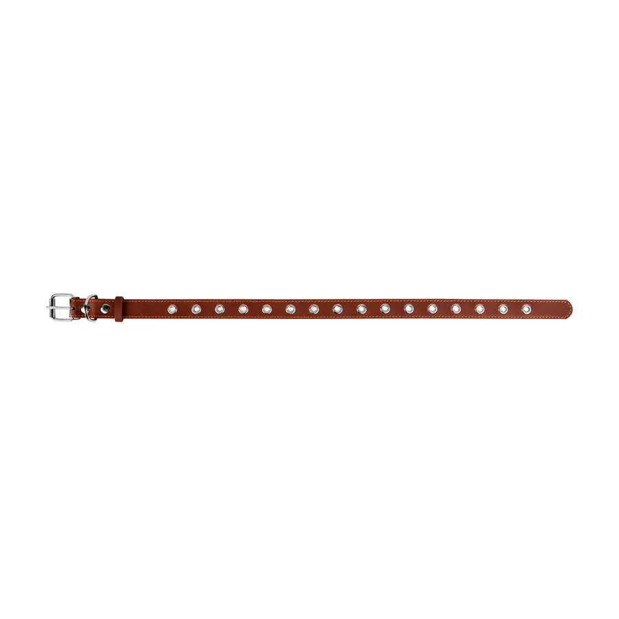 Нашийник CoLLaR 60x2,5 см шкіряний коричневий для собак середнього розміру
