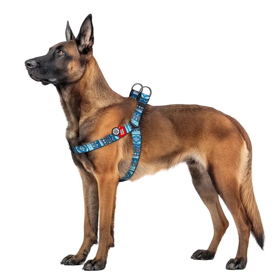Шлея WAUDOG Nylon XL 35 мм Нейлон Етно синій 70-100 см