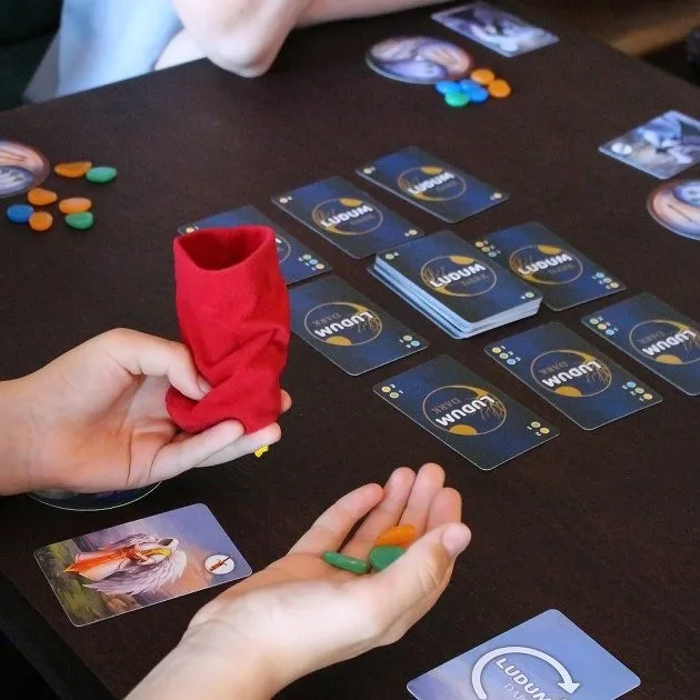 Настільна гра Ludum картон 20х20х6,8 см багатокольорова