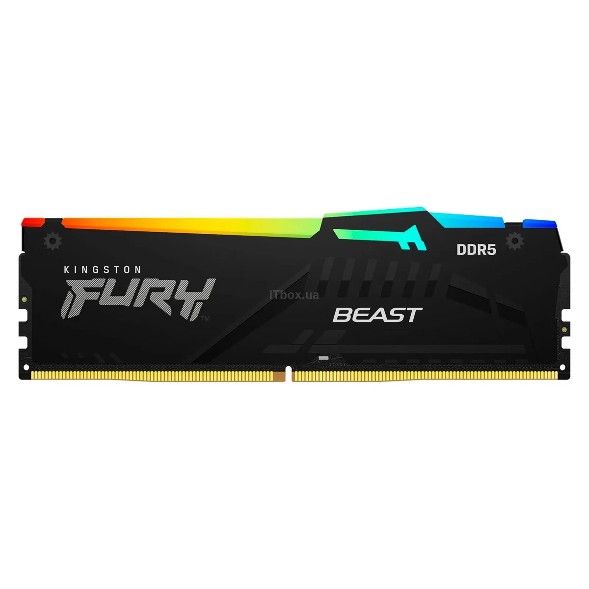 Пам'ять ПК Kingston DDR5 32GB 5600 FURY Beast RGB EXPO