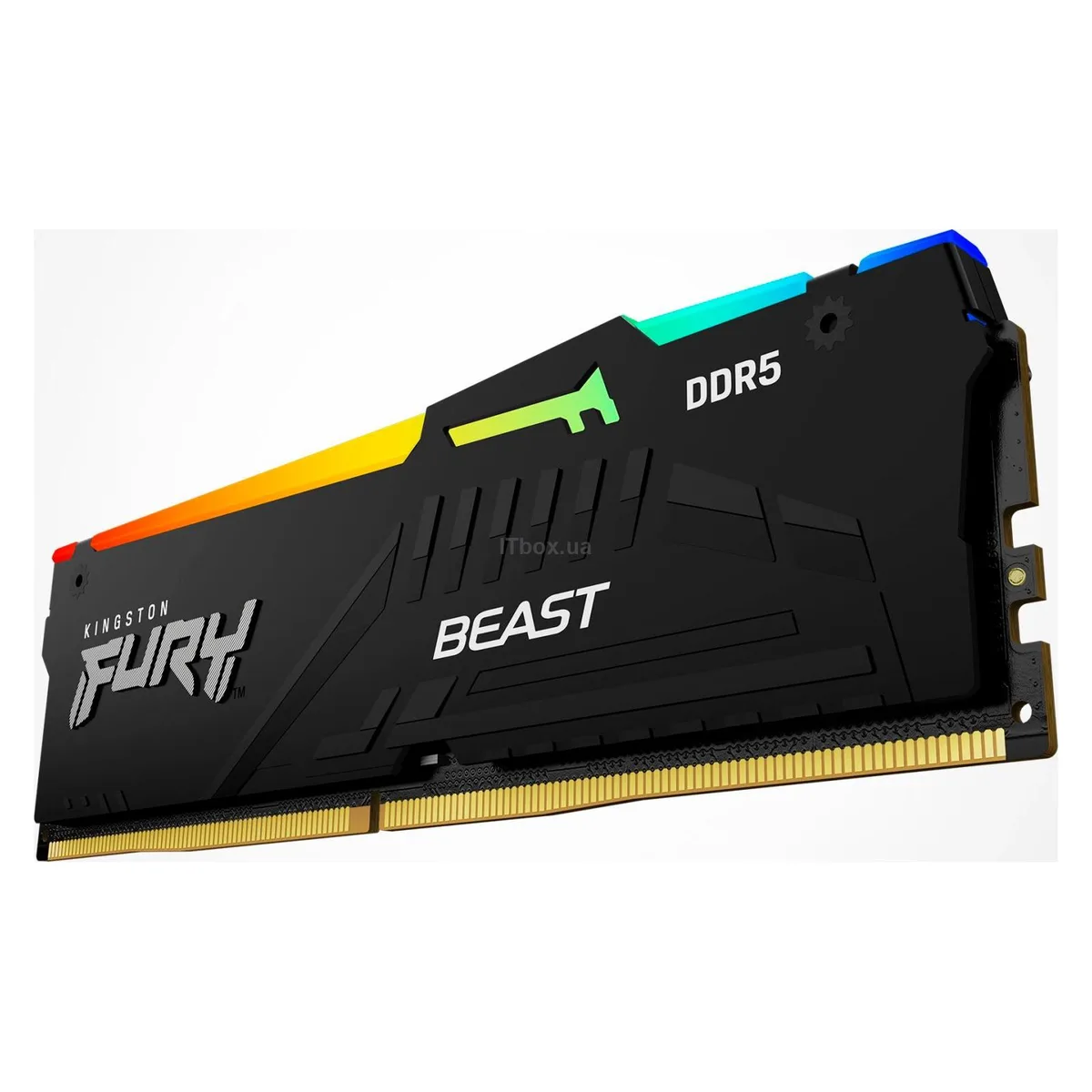 Пам'ять ПК Kingston DDR5 32GB 5600 FURY Beast RGB EXPO