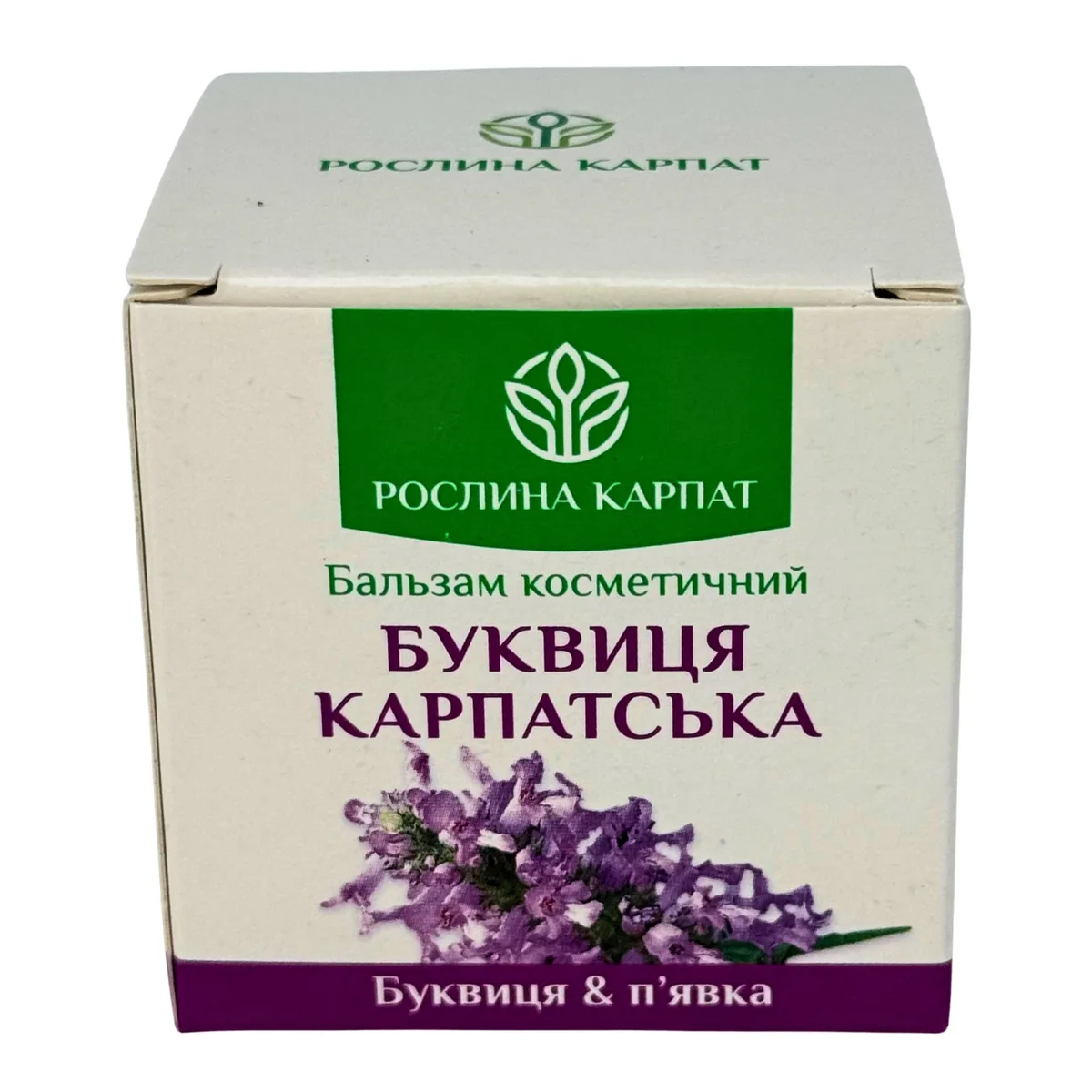 Бальзам Буквиця Карпатська – природний догляд при варикозі Рослина Карпат