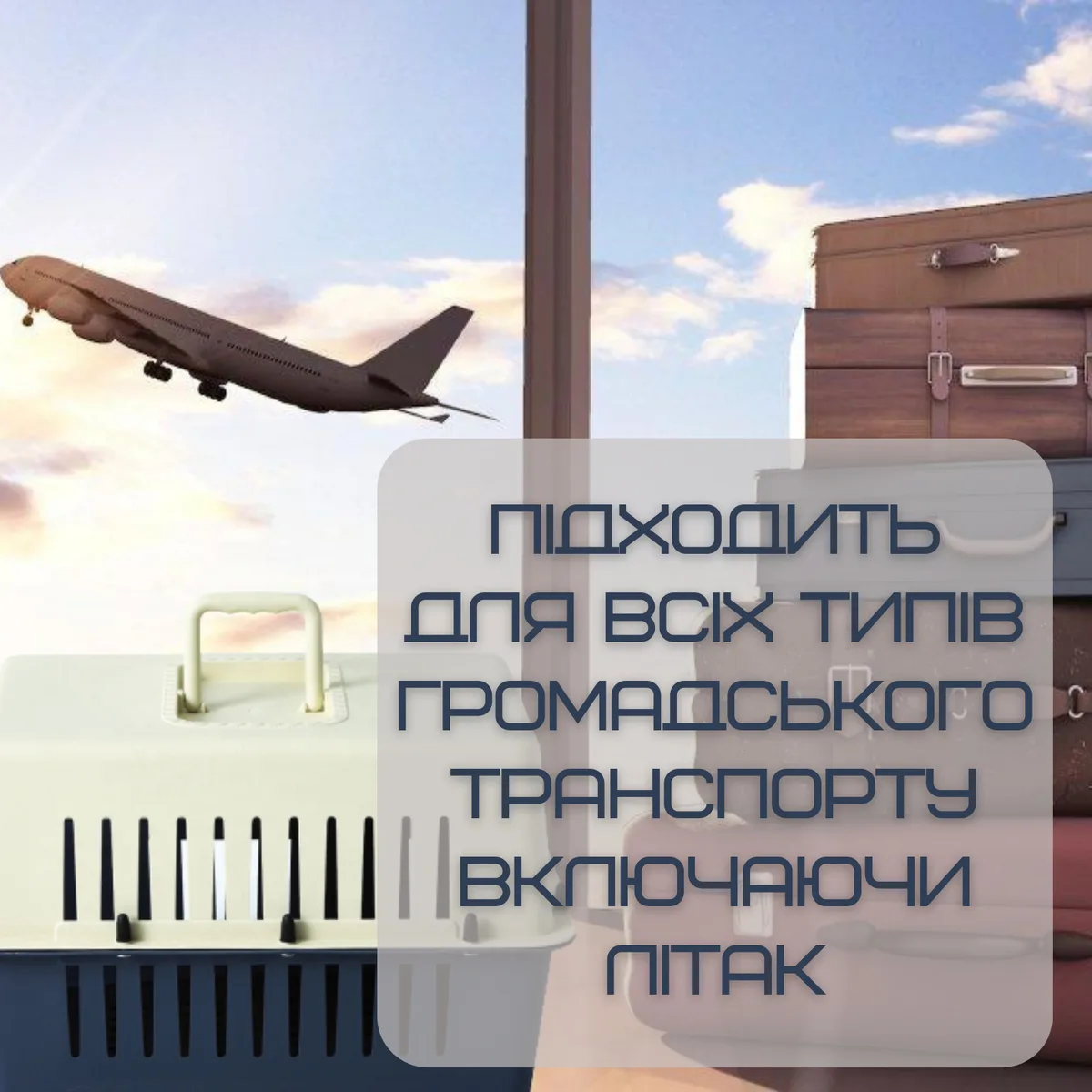 Переноска для животных Treaxy TPK-002 до 9 кг ударопрочный пластик 50х31х34 см с металлическими дверями