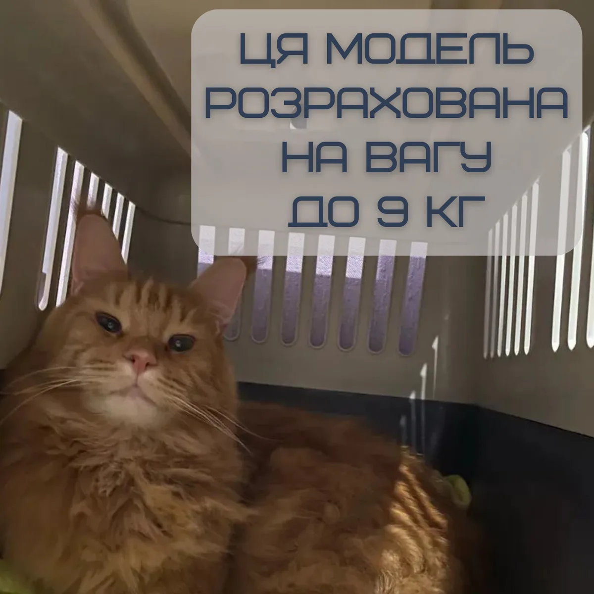 Переноска для животных Treaxy TPK-002 до 9 кг ударопрочный пластик 50х31х34 см с металлическими дверями