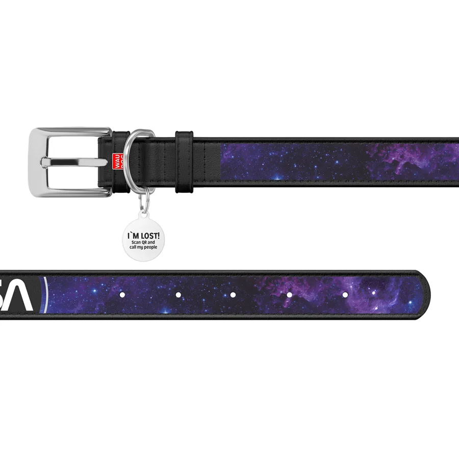 Нашийник WAUDOG Design шкіряний NASA21 25 мм 38-49 см чорний